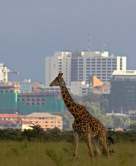 KENYA